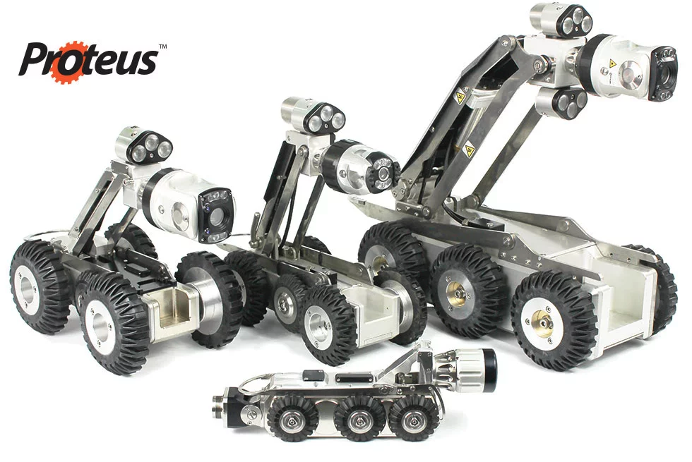 Proteus crawlers